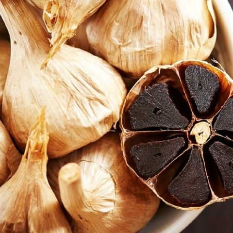 خرید و قیمت سیر سیاه خشک + فروش صادراتی